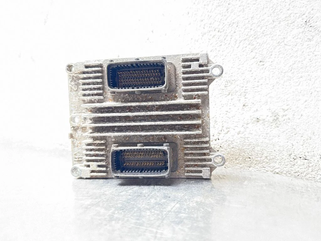 Dzinēja vadības bloks 12202143