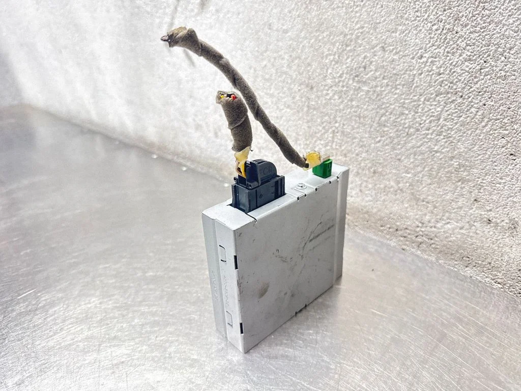 Other control units/modules – Opel Astra H (2004-2012)