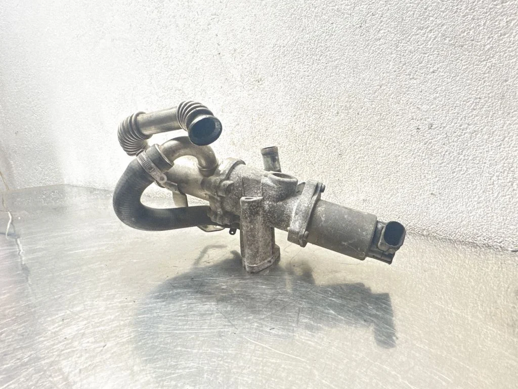 EGR-klapp 55184653