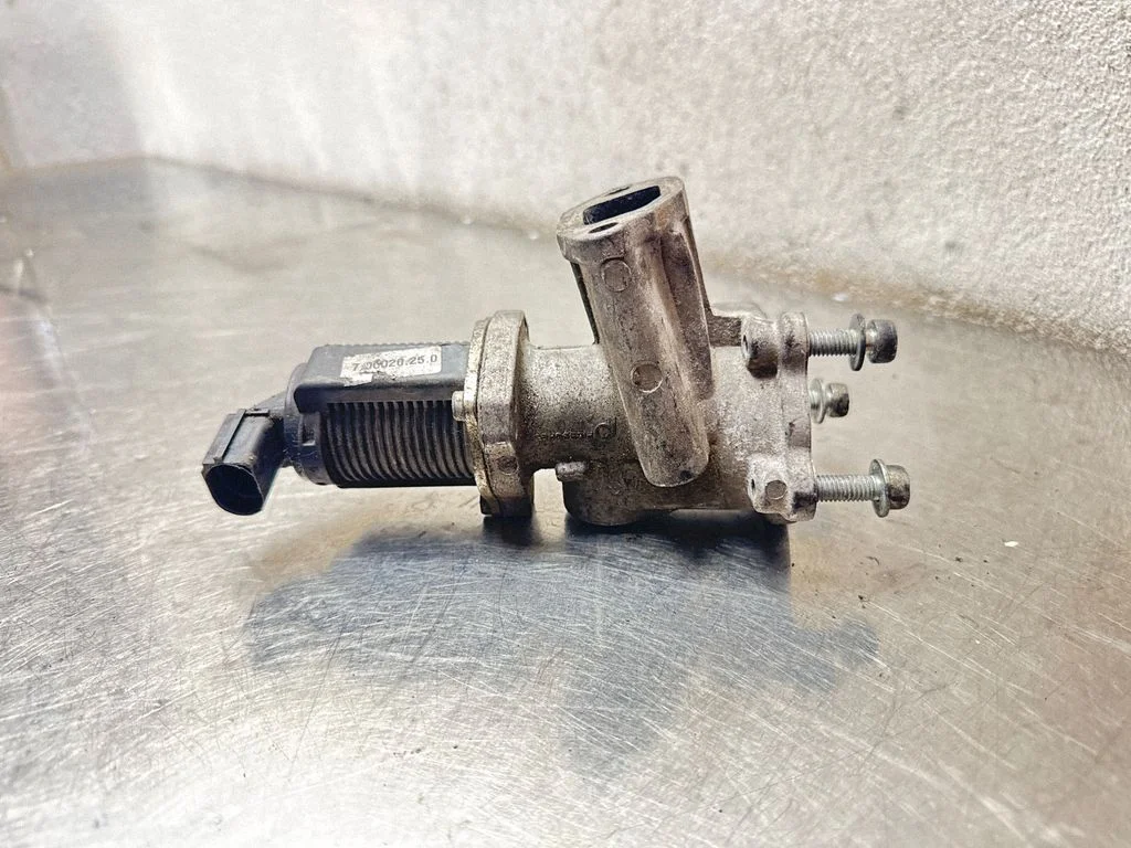 EGR valve 700020250