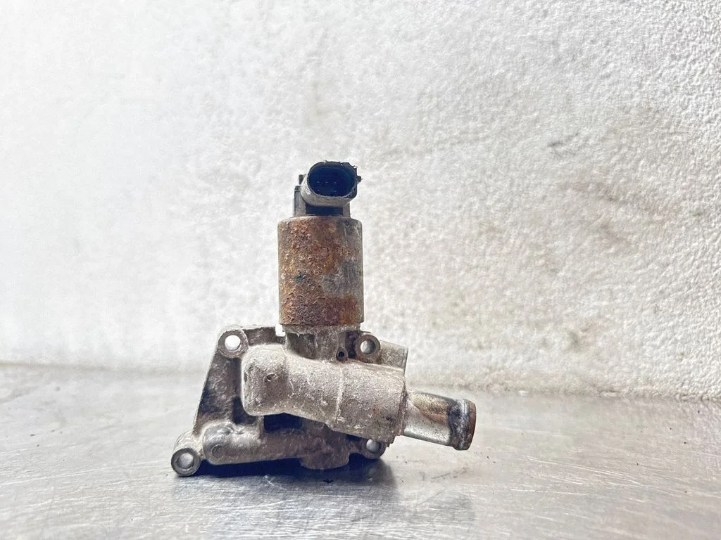 EGR-klapp 55558720