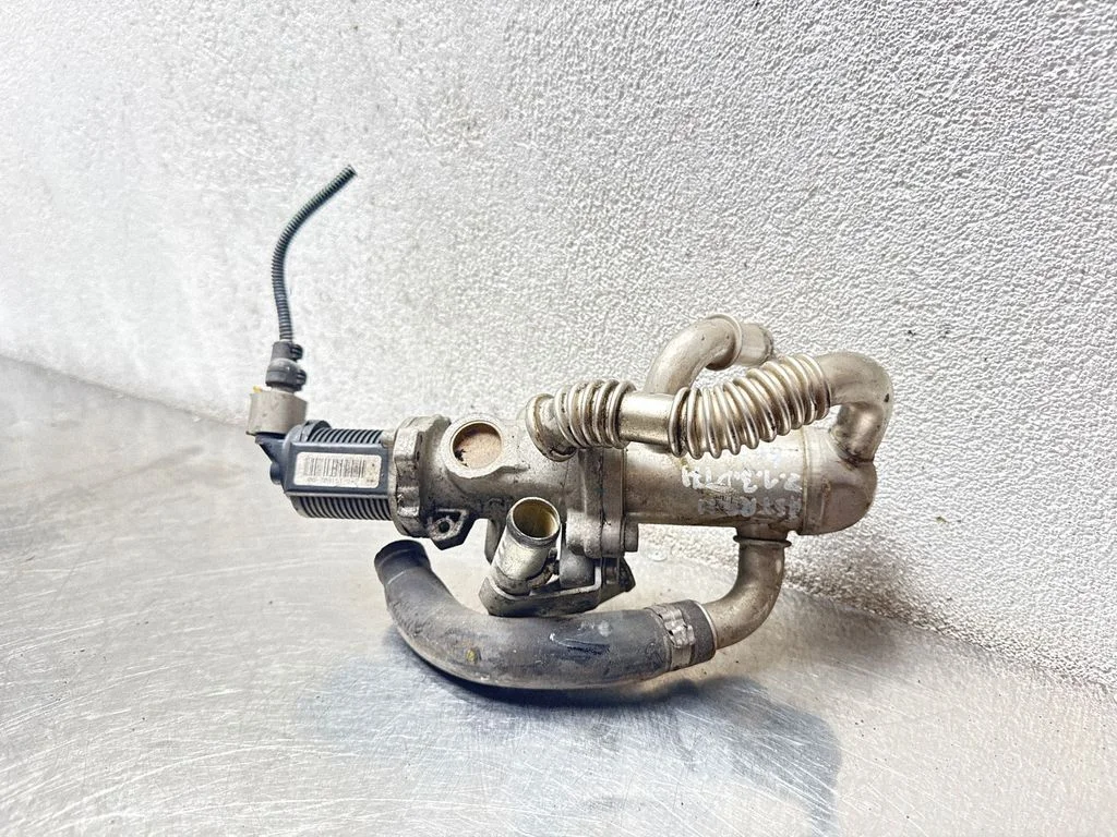 EGR-klapp 55204941