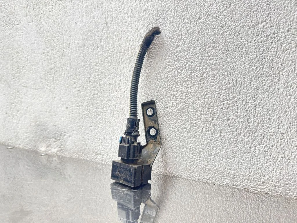 Kitas daviklis