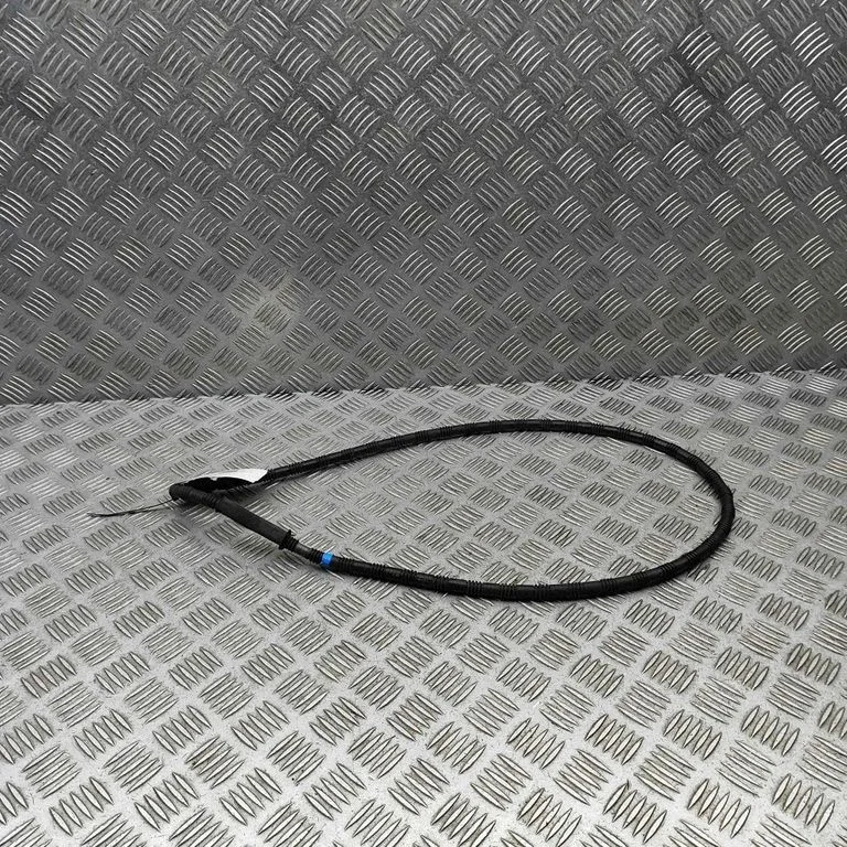 Tulepesuvedeliku voolik(ud) 8W6955970