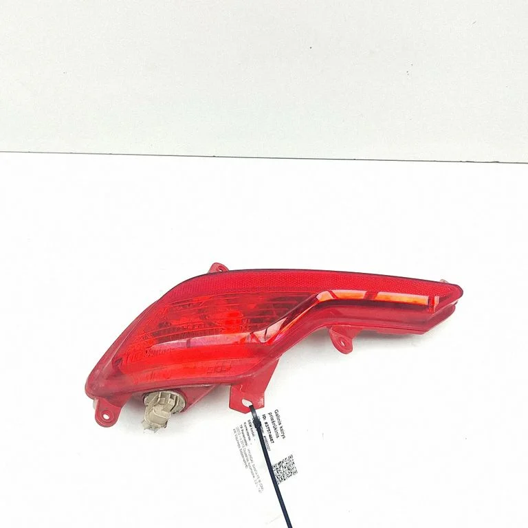 Aizmugurējais miglas lukturis 924052W800