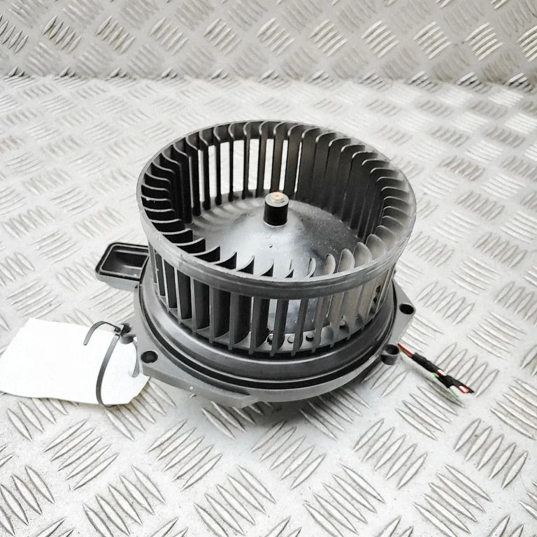 Krāsniņas ventilators/pūtējs A2069064401