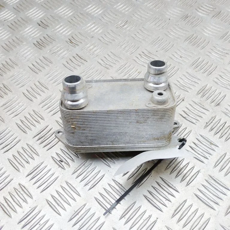 Mootoriõli radiaator 109621500C