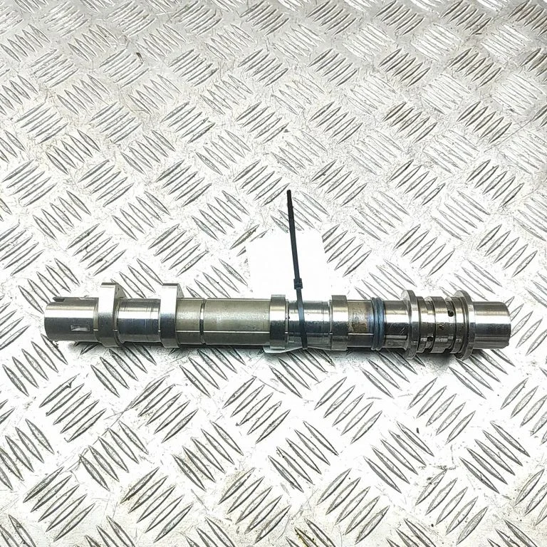 Sadales vārpsta 13031AA730