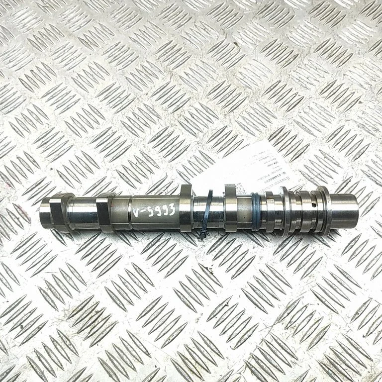 Sadales vārpsta 13034AA730
