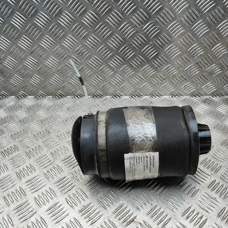 Rear air suspension bag/shock absorber A1663200325