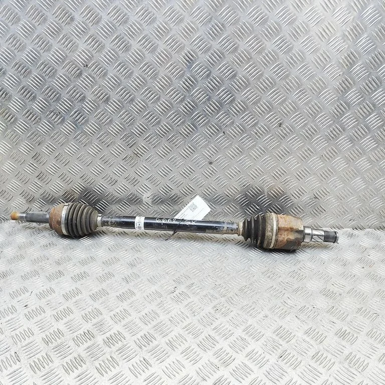 Rear driveshaft 100771900C