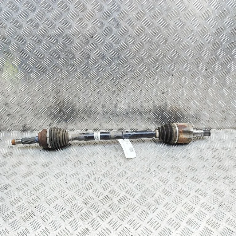 Rear driveshaft 100771900C