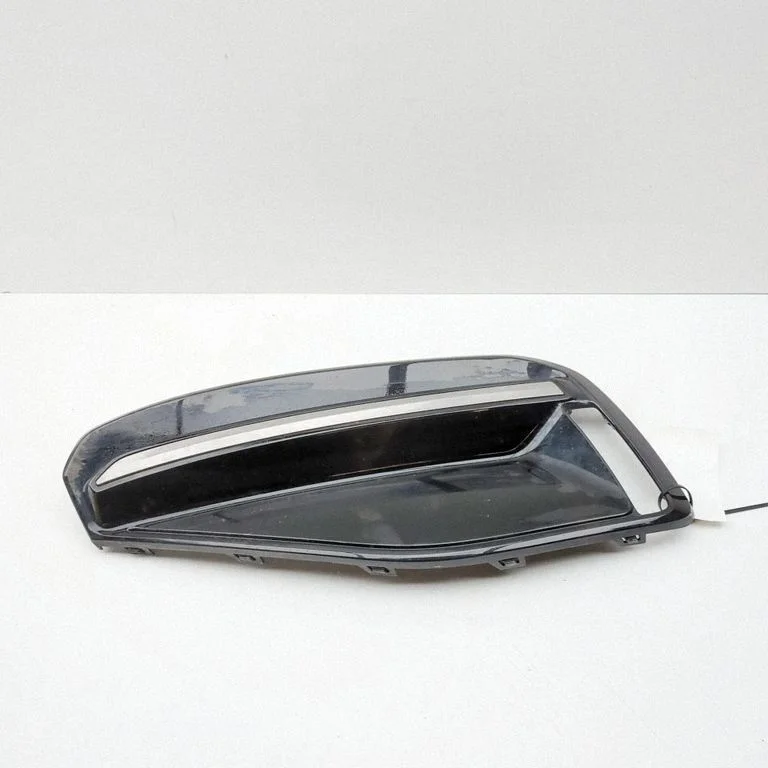 Front fog light trim/grill 86595CV200