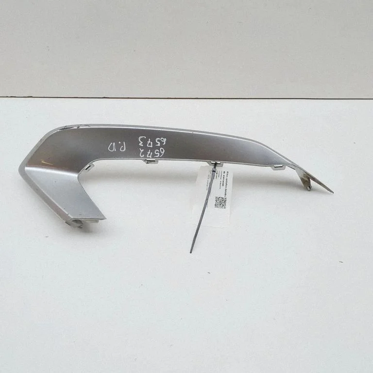 Front fog light trim/grill 86596R2000
