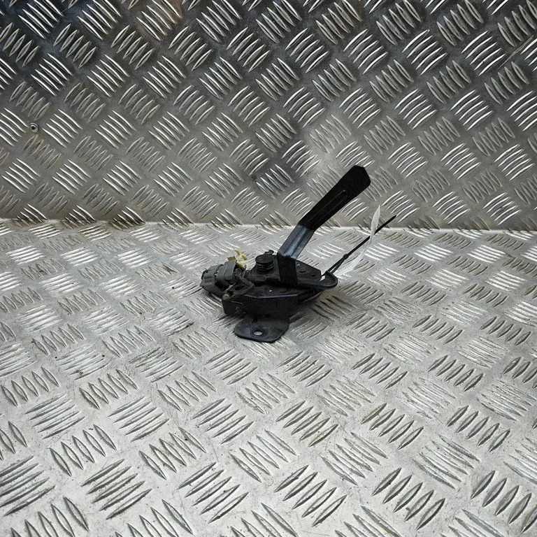 Motora pārsega slēdzene 10079220