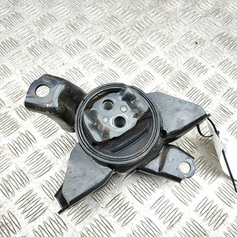 Ātrumkārbas spilvens 218302W400