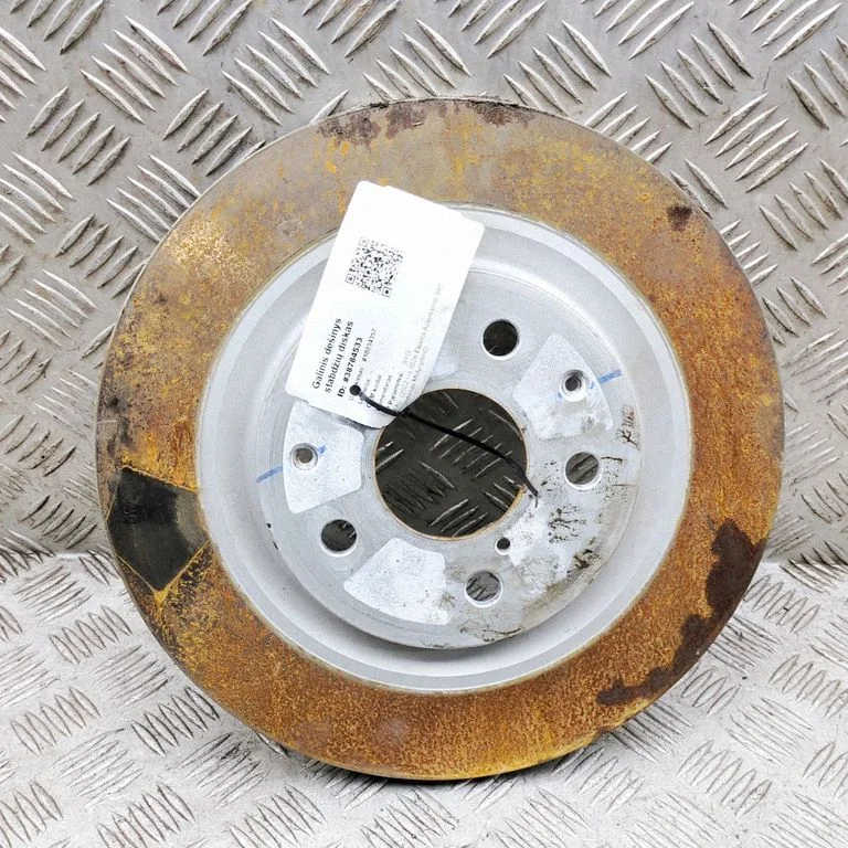 Tagumine piduriketas 1410856600