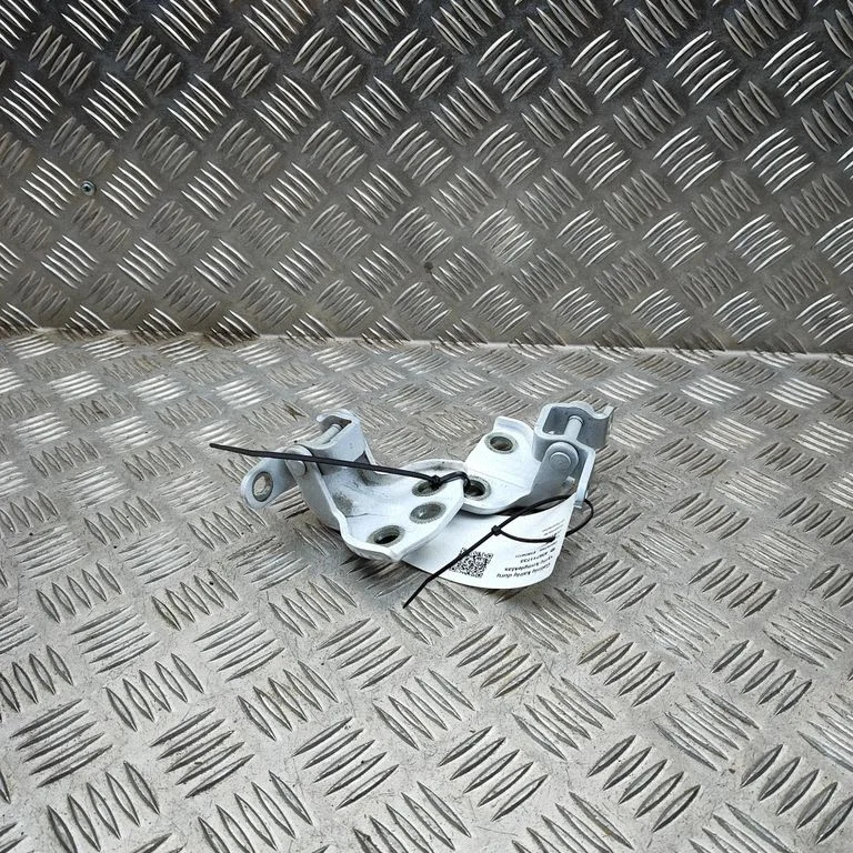 Aizmugurējo eņģu komplekts 50011623L