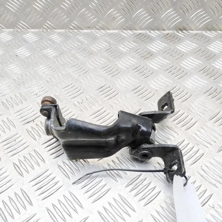 Sliding door lower roller guide/hinge 1T3843304