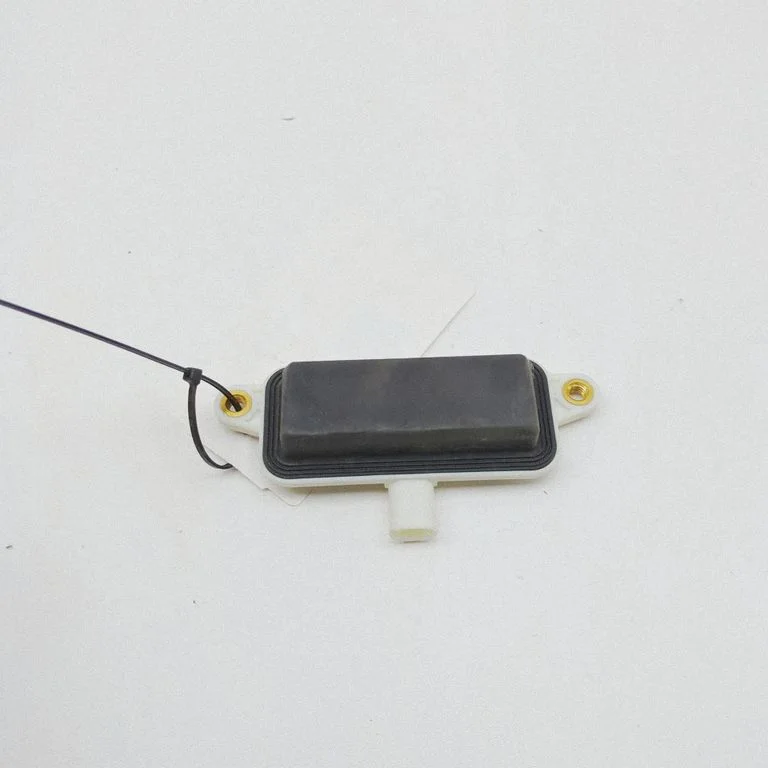 Tailgate/boot open switch button 105563100B