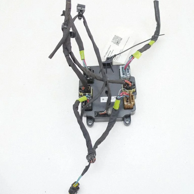Door control unit/module 106205600D