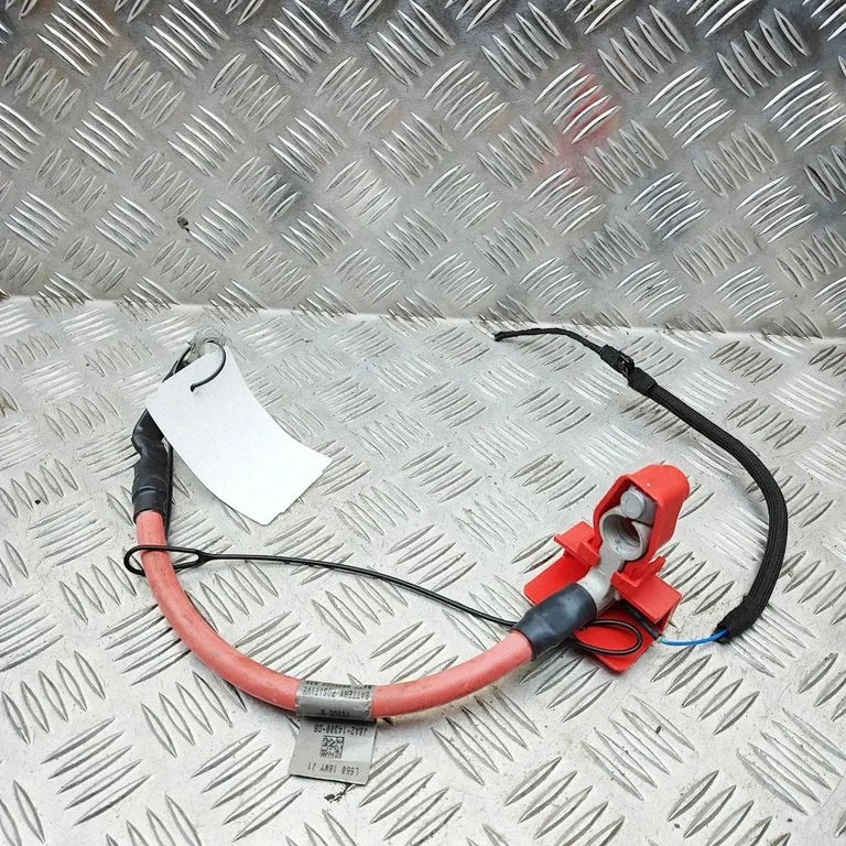 Plusa vads (akumulatora) J8A214300DB