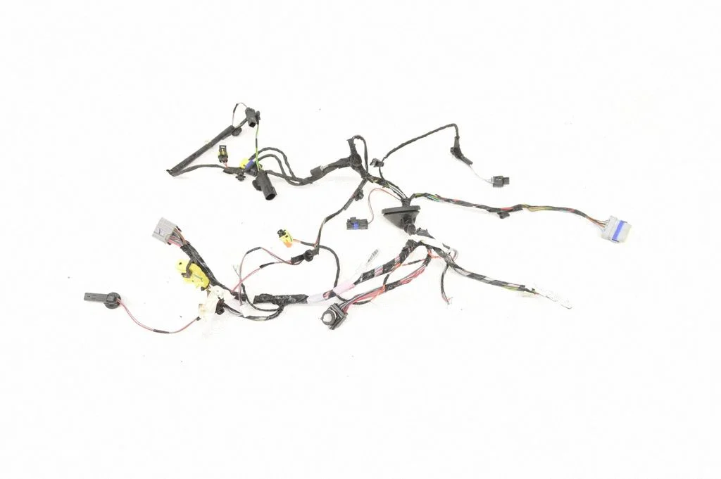 Rear door wiring loom 103244180G
