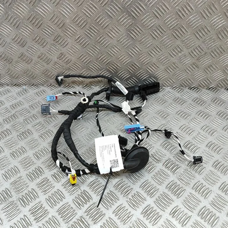 Priekšējo durvju vadu instalācija 5NC971161EG
