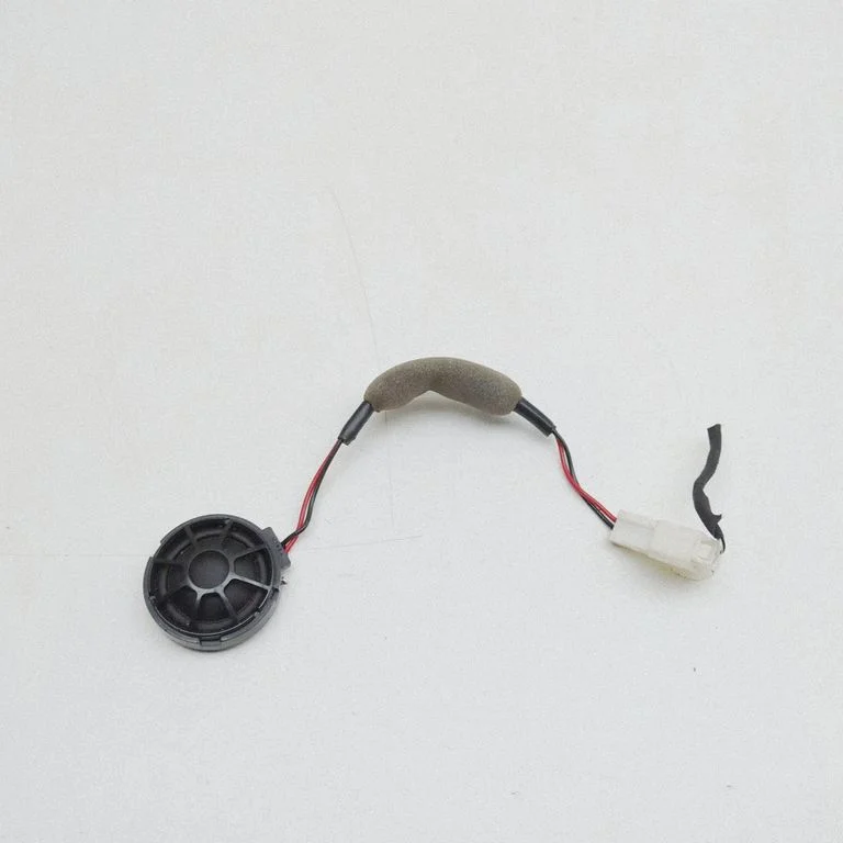 Panel speaker 105072400A