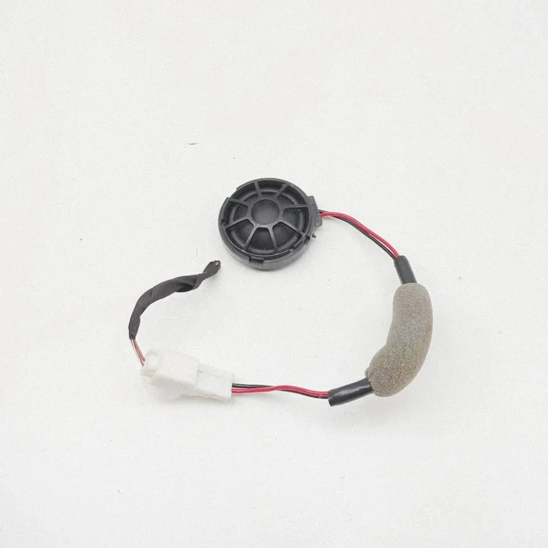 Panel speaker 105072400A