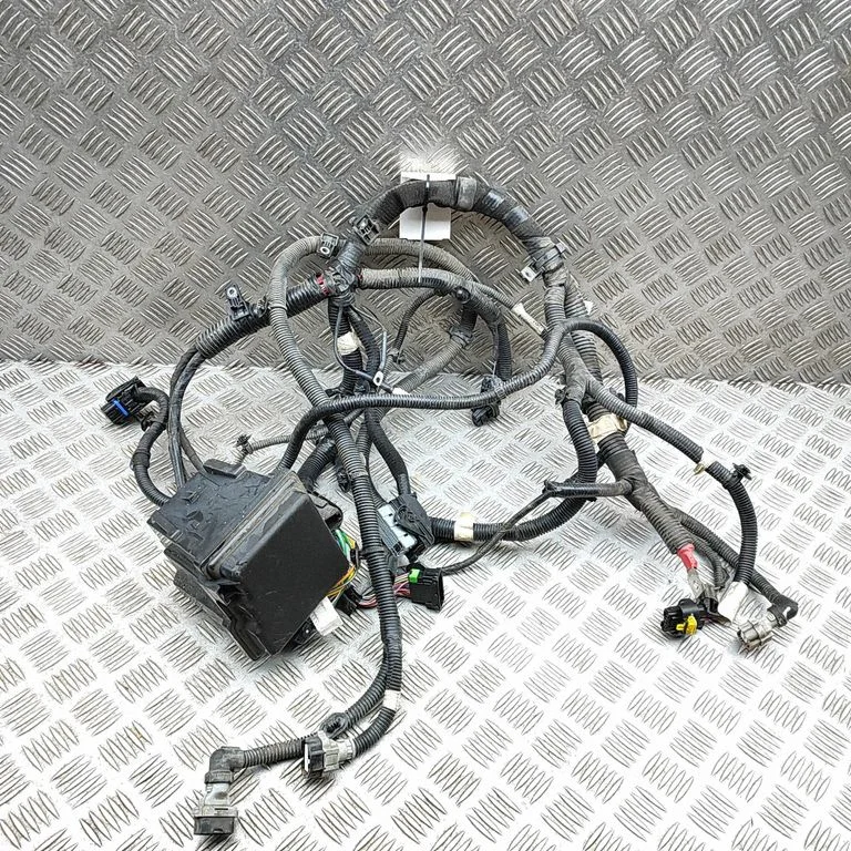 Motora vadu instalācija 243826381R