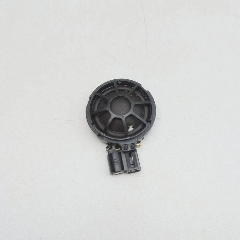 Rear door speaker 100483300A