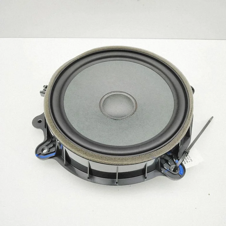 Rear door speaker 107974400E