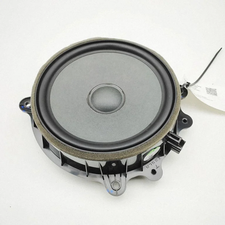 Rear door speaker 107974400E