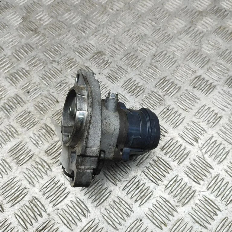 Oil pump 0810G861