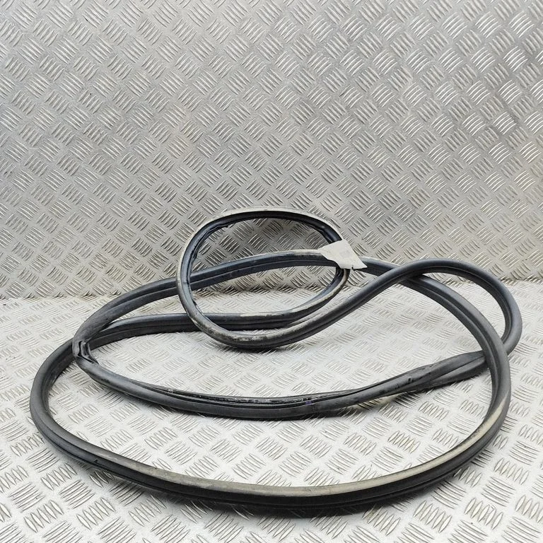 Rubber seal front coupe door PZ31V253A10AD