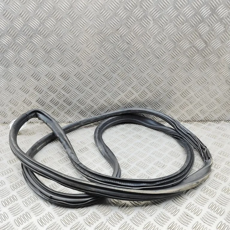 Rubber seal front door (on door) PZ31V20708AF