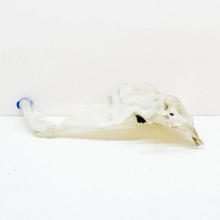 Windshield washer fluid reservoir/tank – Tesla Model S (2012-)