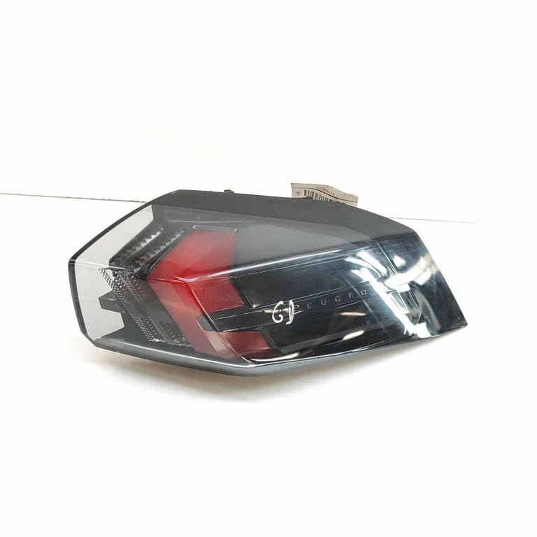 Rear/tail lights 9838190480