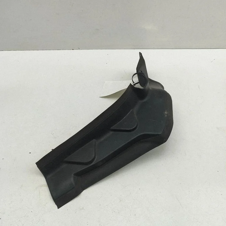 Rear/tail light trim molding 9491404