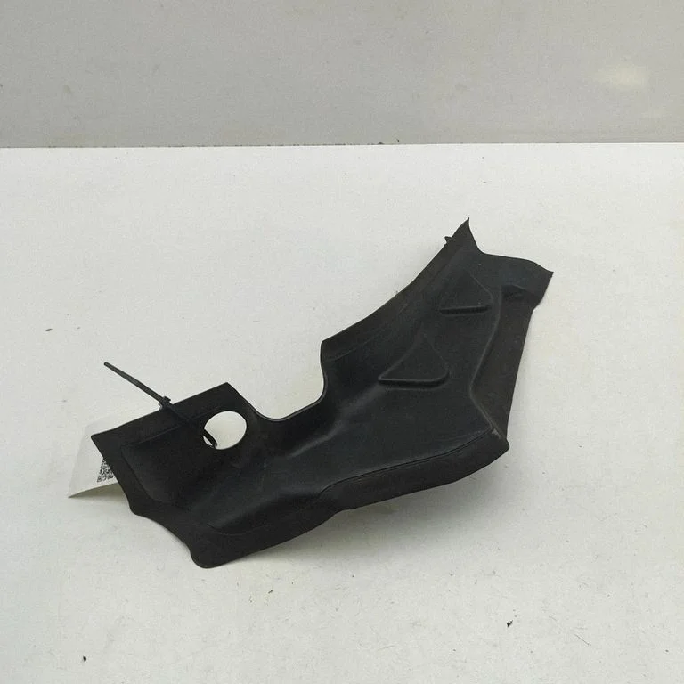 Rear/tail light trim molding 9491403
