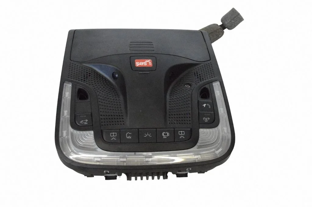 Front seat light A9109008400