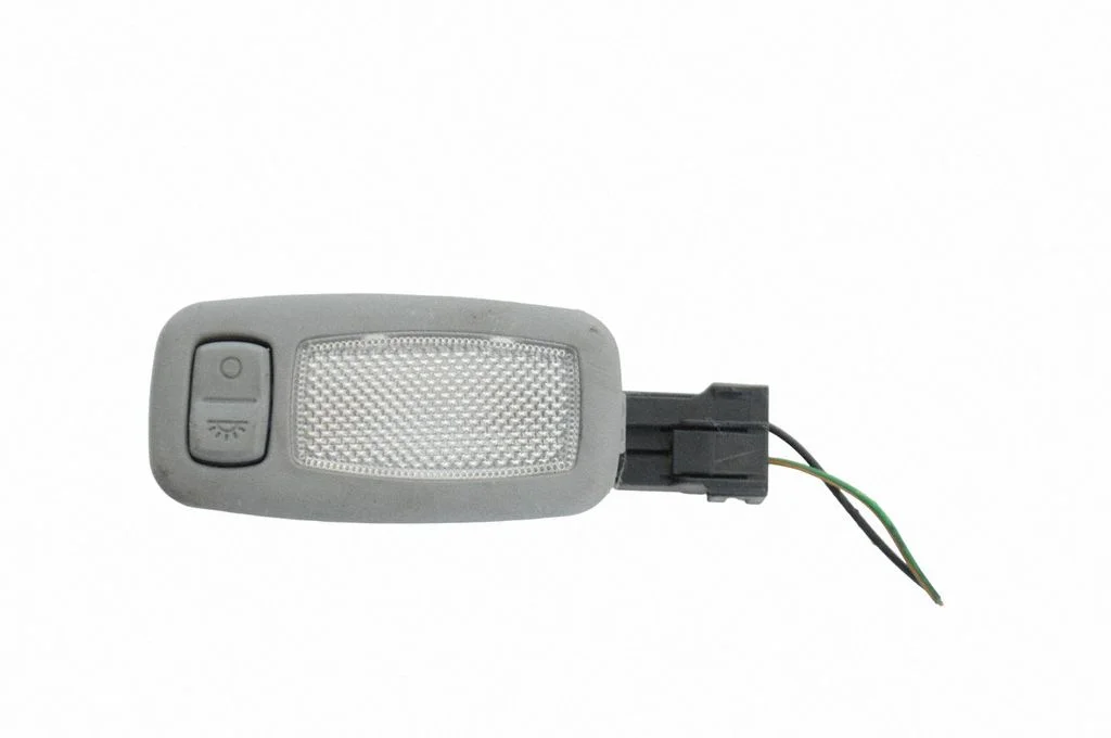 Front seat light 928923SXXX