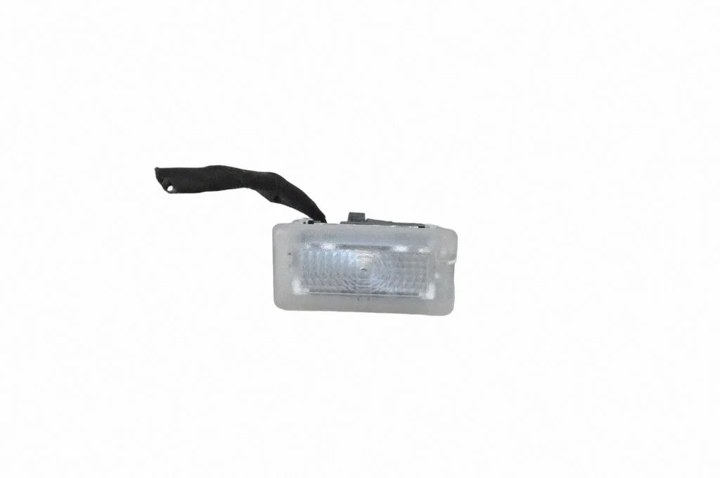 Front seat light 100715190E