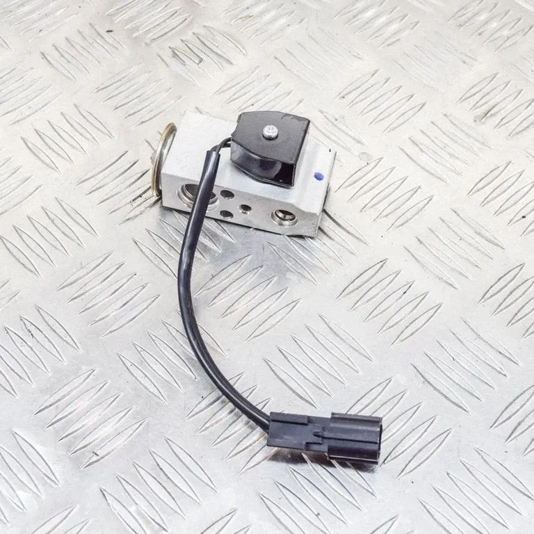 Air conditioning (A/C) expansion valve 101954400A
