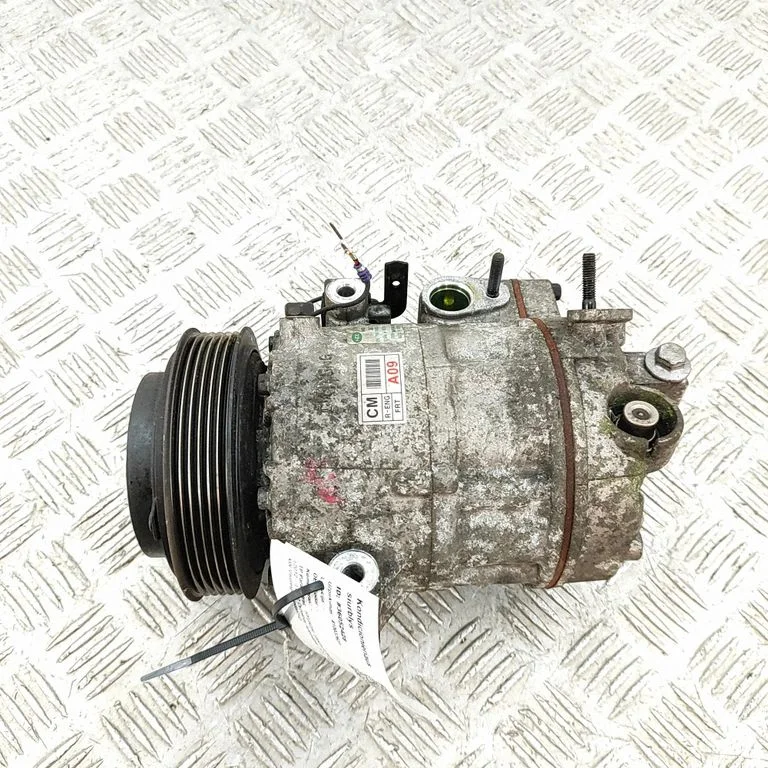Gaisa kondicioniera kompresors (sūknis) 977012B700