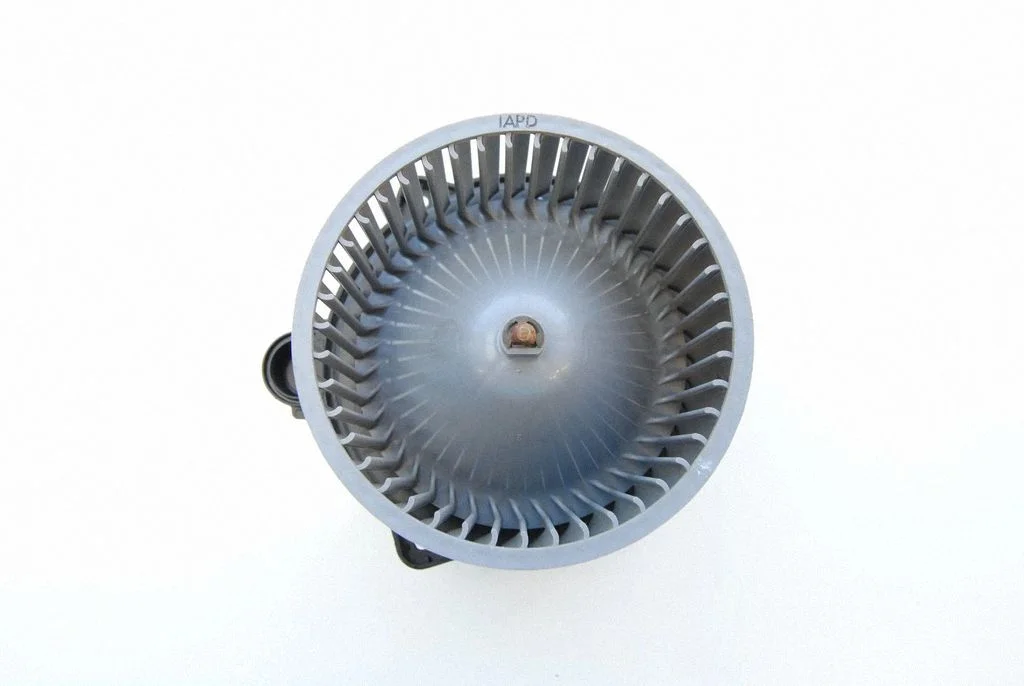 Salongipuhur