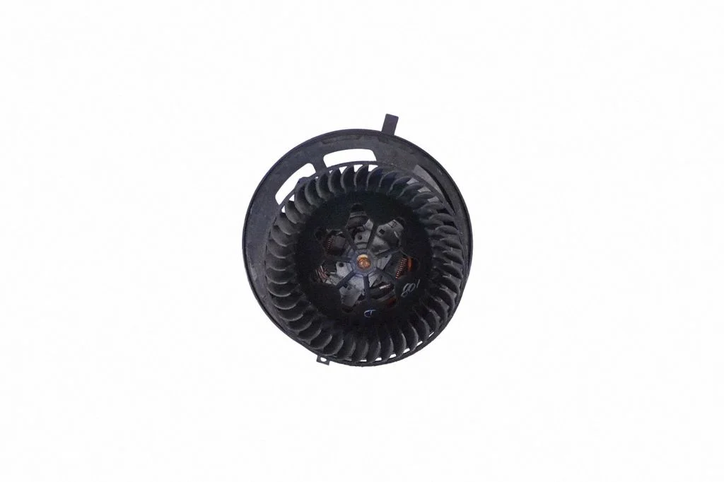 Krāsniņas ventilators/pūtējs T1013715TD