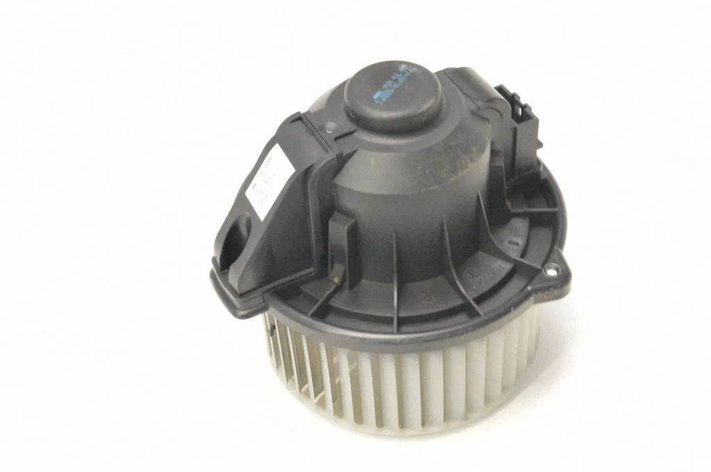 Krāsniņas ventilators/pūtējs – Land Rover Range Rover Sport L320 (2005-2013)