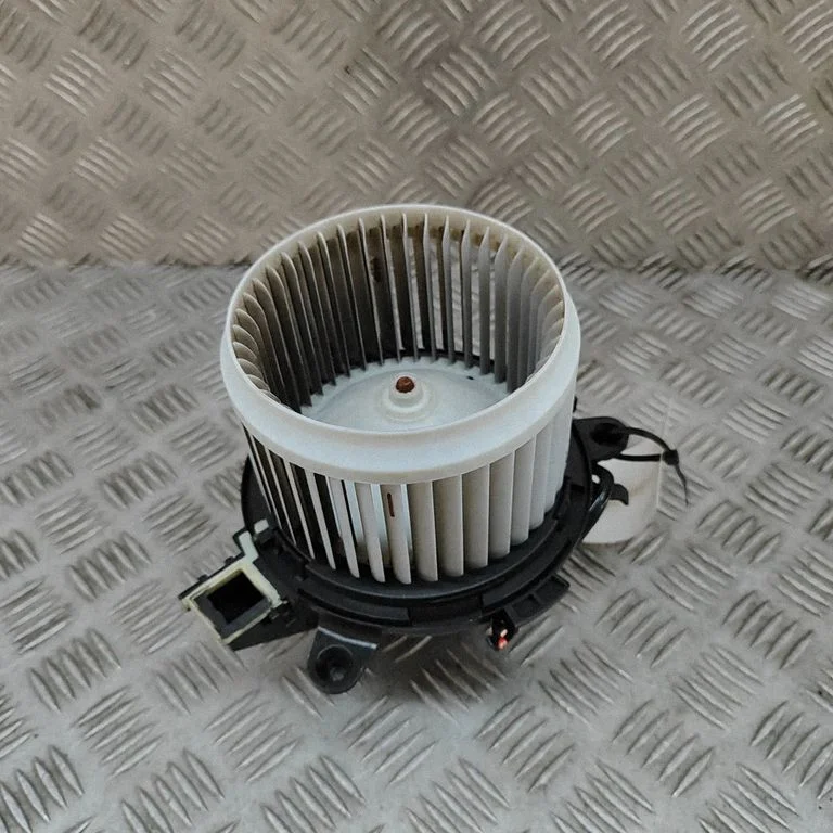 Krāsniņas ventilators/pūtējs 9849784380